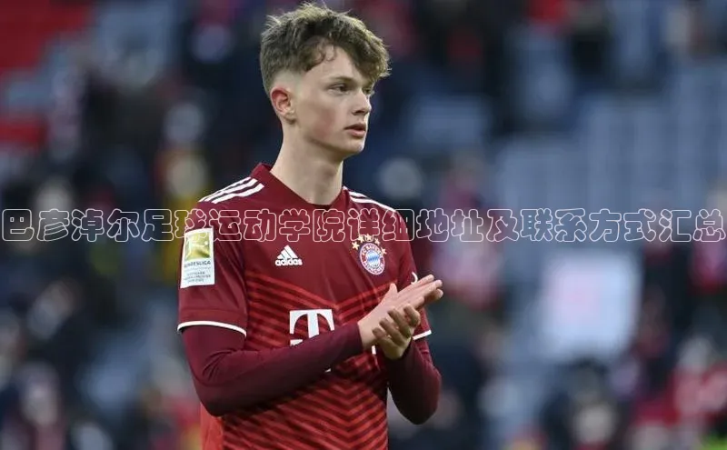 杏宇娱乐蓝色光标