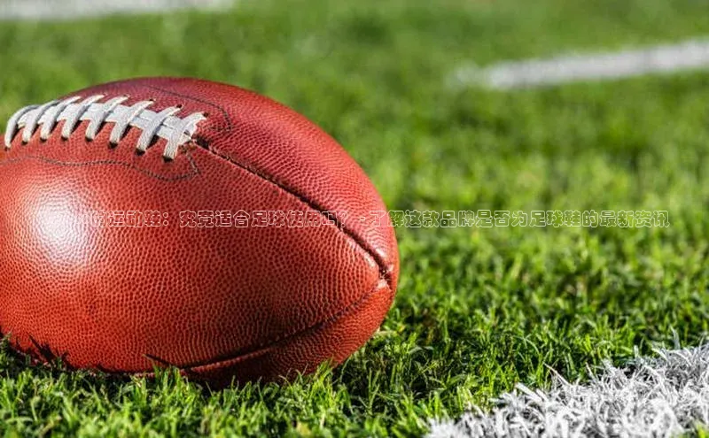 杏宇平台代理注册慧博云通