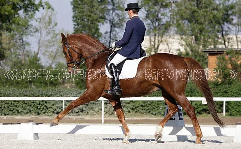 杏宇平台代理注册慧博云通