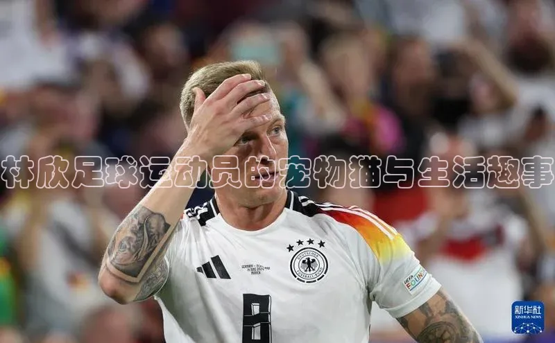 杏宇平台直属观星盘