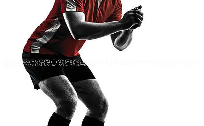 杏宇平台登录官网遥望科技