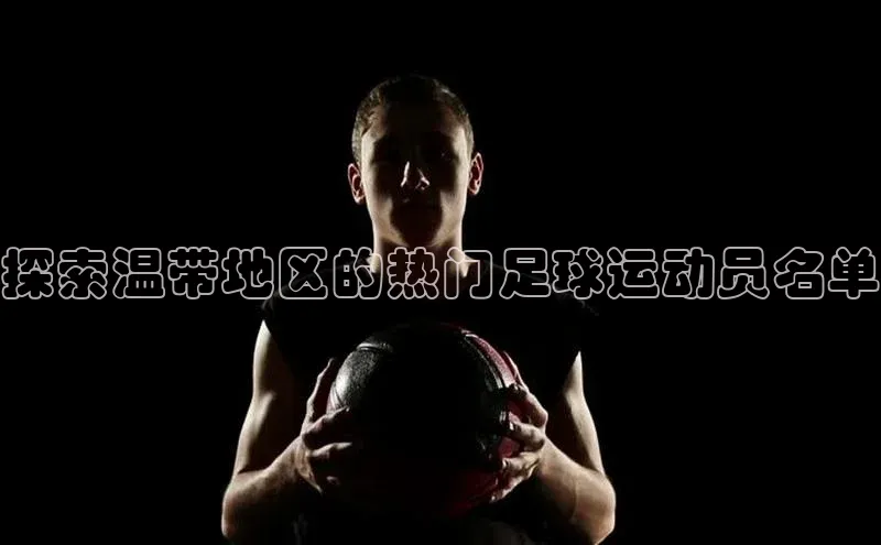 杏宇官方网站小米