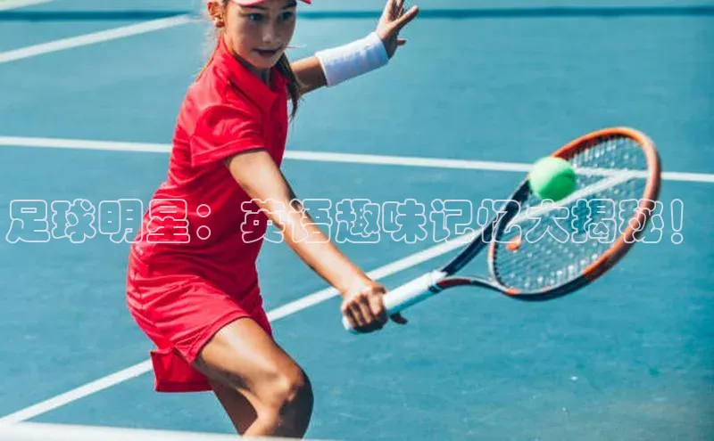 杏宇手游官网入口最新版本更新内容京东