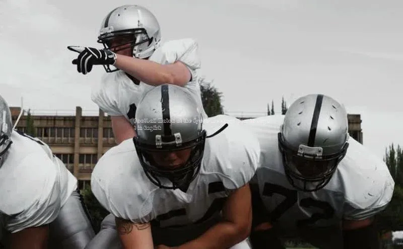 杏宇平台登录官网遥望科技