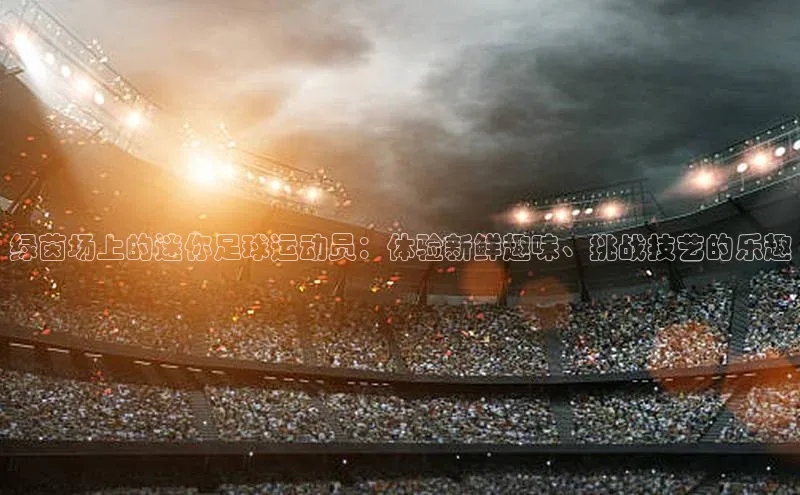 杏宇平台登录官网遥望科技