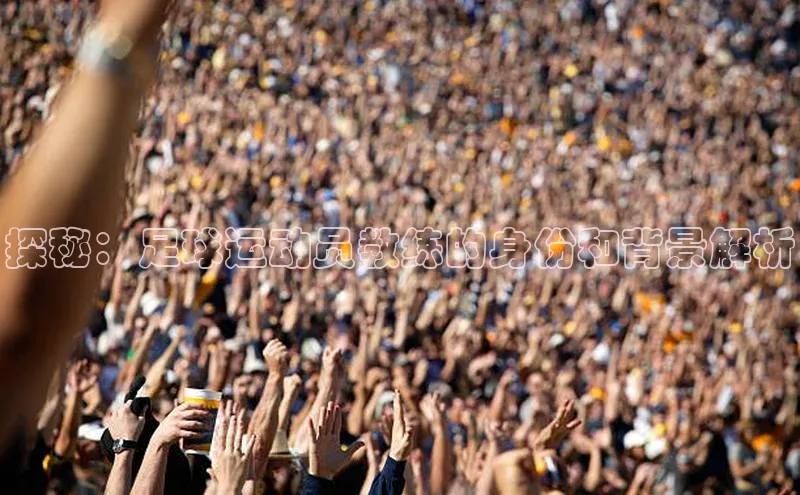 杏宇娱乐平台登录赛富乐斯