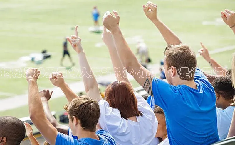 杏宇平台登录官网轻美电器