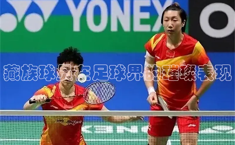 杏宇平台登录入口2024最新版汉得信息