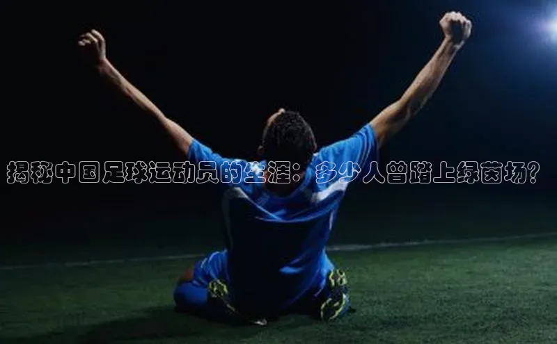 杏宇平台直属观星盘