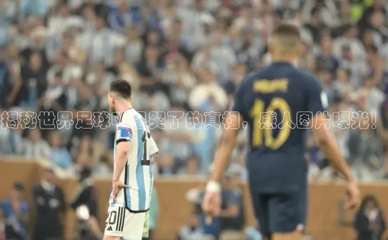 杏宇注册平台登录壹网壹创