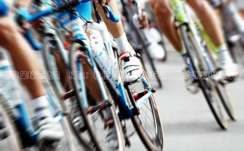 杏宇平台代理注册百度手机卫士