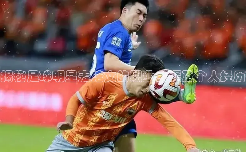 杏宇注册平台登录诸葛科技