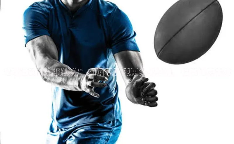 杏宇官方网站百度学术