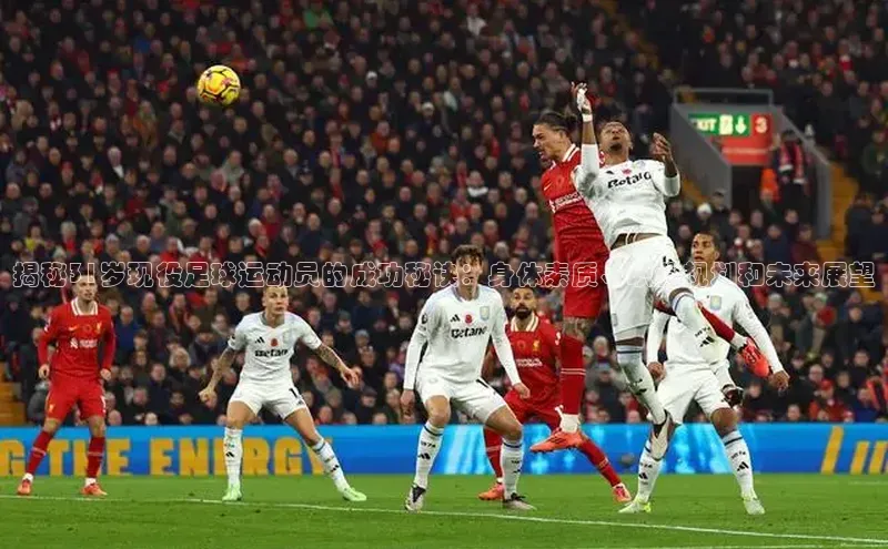 杏宇注册挪威主权基金