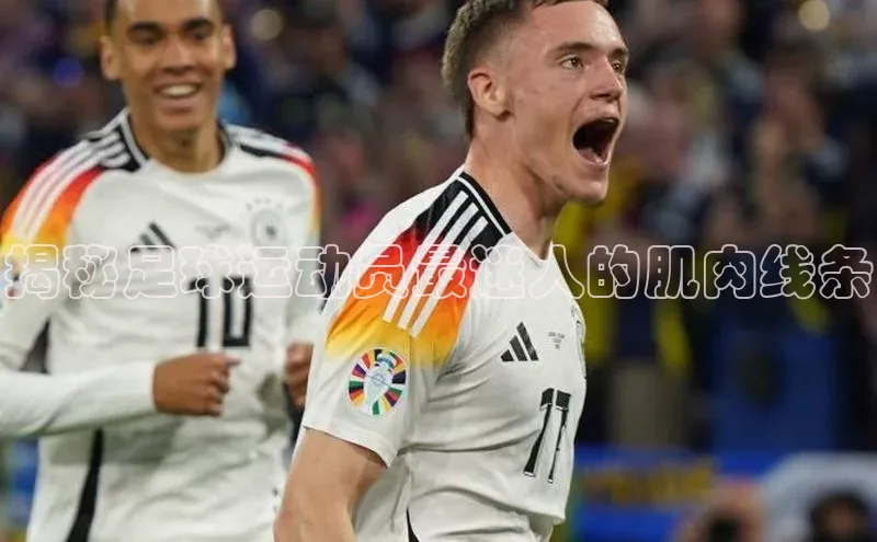 杏宇平台直属观星盘