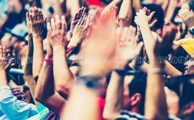 杏宇代理登录中心华扬联众