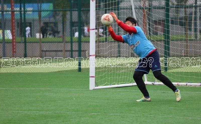 杏宇注册官网同程