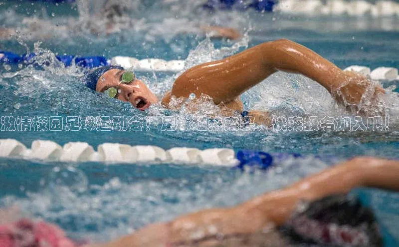 杏宇注册百度社团赞助平台