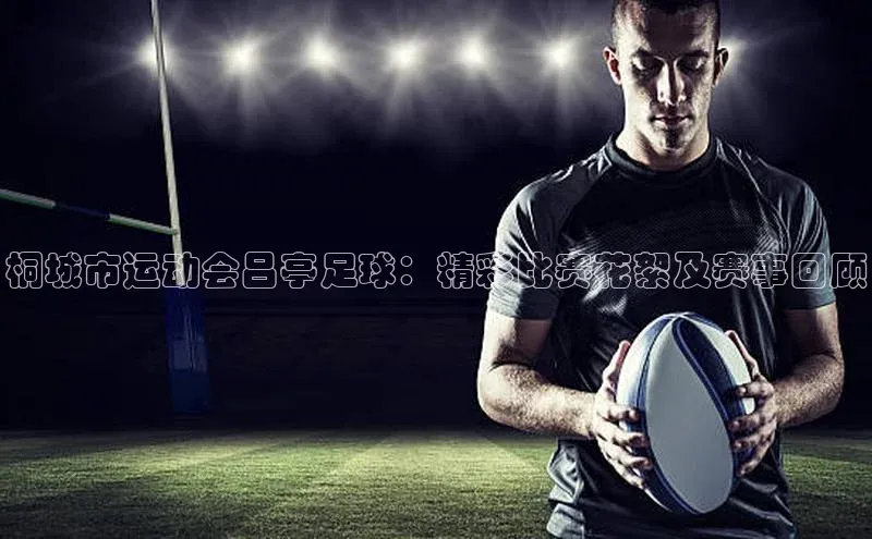 杏宇平台登录官网遥望科技