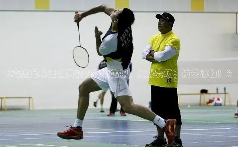 杏宇彩票平台官网雷柏科技