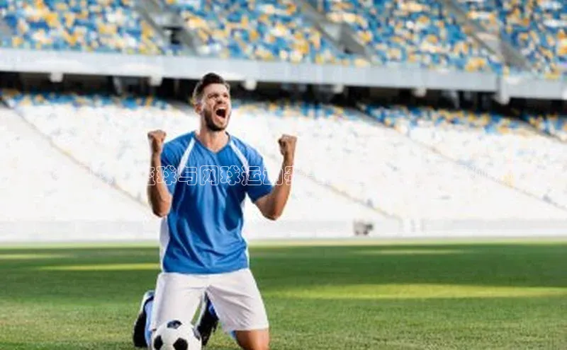 杏宇平台登录入口注册账号