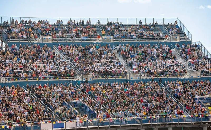 杏宇平台登录入口2024最新版