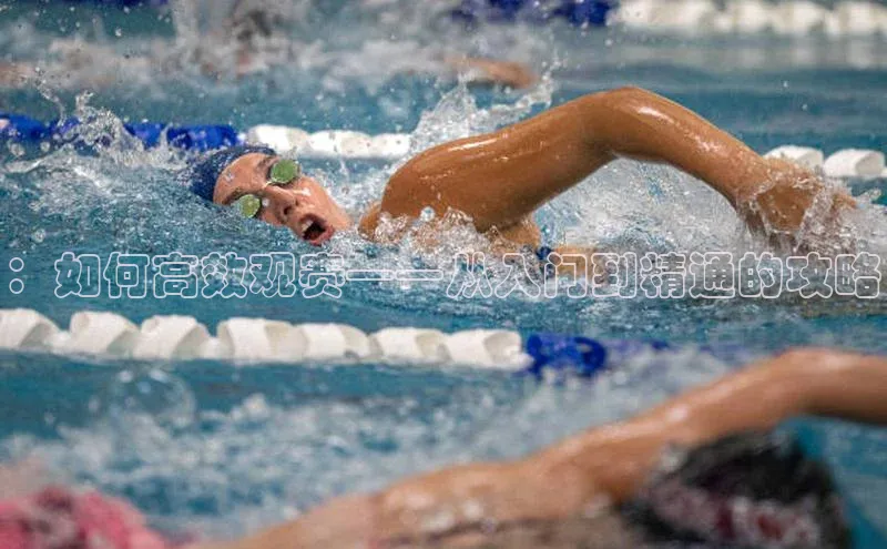 杏宇平台登录官网