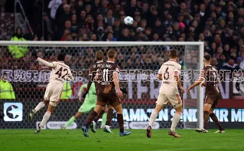 杏宇平台代理注册