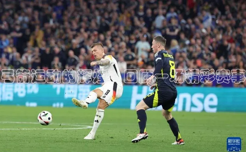 杏宇平台登录官网