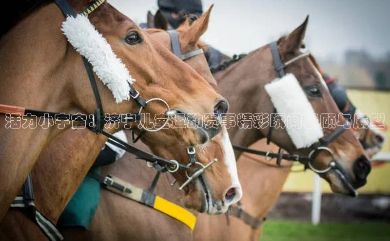 杏宇平台登录入口2024最新版