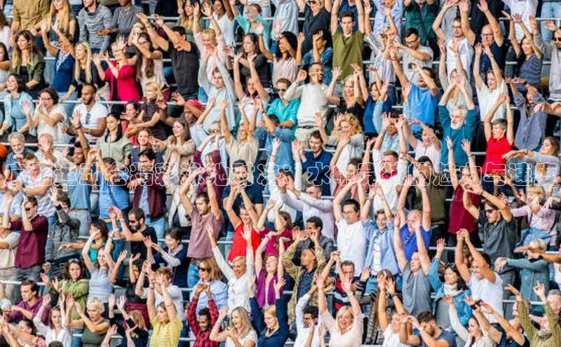 杏宇平台登录入口2024最新版