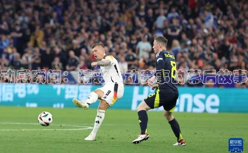 杏宇平台登录入口2024最新版