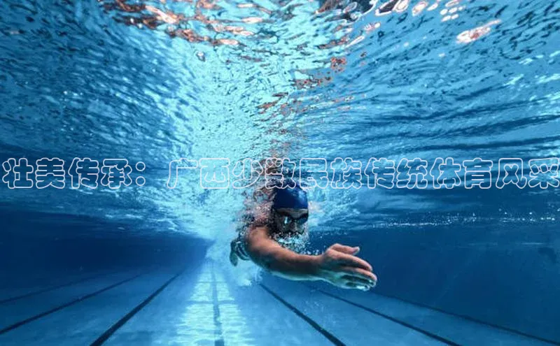 杏宇注册平台登录