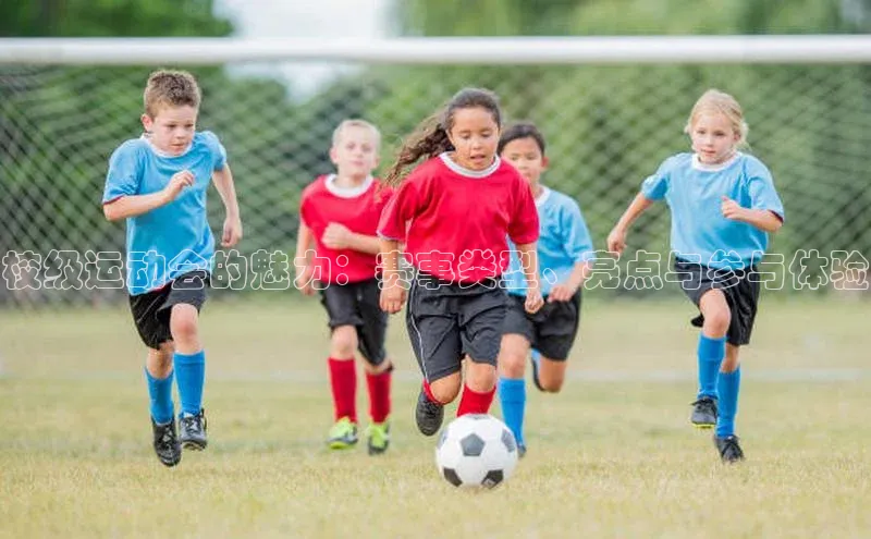 杏宇平台代理注册