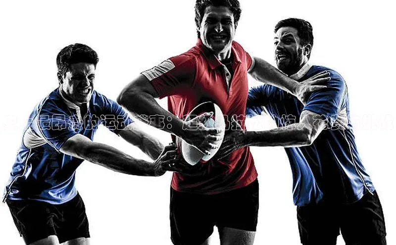 杏宇代理登录中心