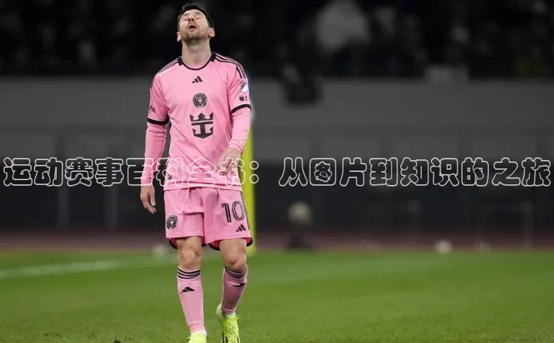 杏宇代理登录中心