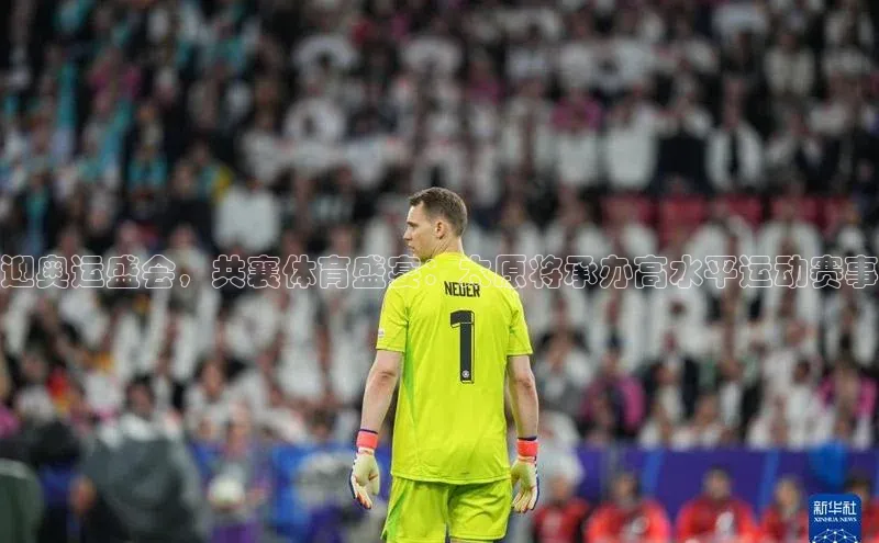 杏宇手游官网入口最新版本更新内容