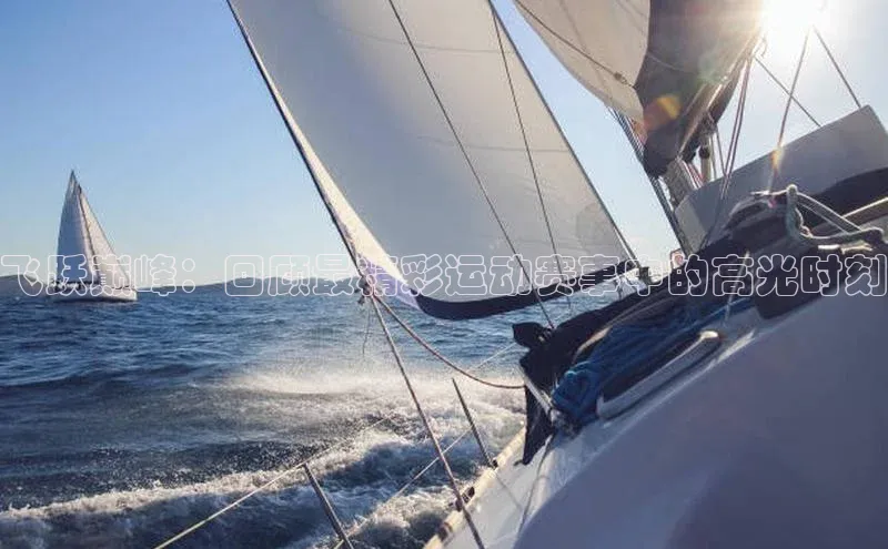 杏宇娱乐平台登录