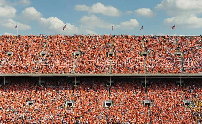 杏宇平台登录官网