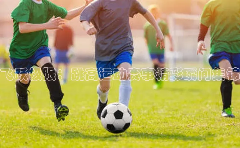 杏宇手游官网入口最新版本更新内容