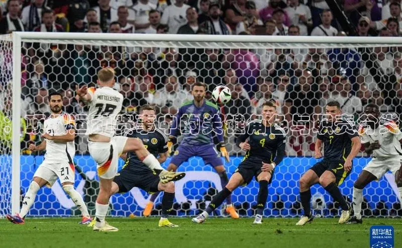 杏宇平台登录首页