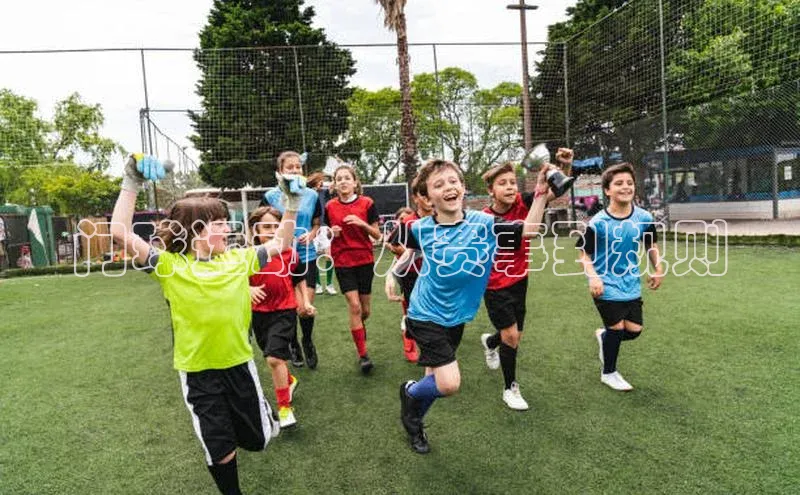 杏宇手游官网入口最新版本更新内容