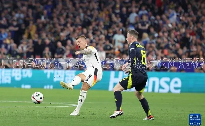 杏宇代理登录中心