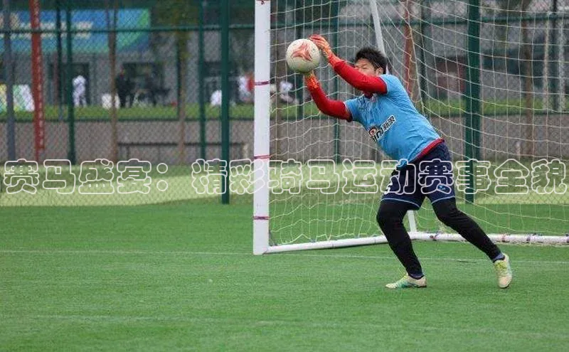 杏宇平台登录入口2024最新版