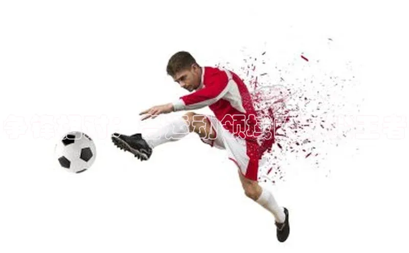 杏宇手游官网入口最新版本更新内容