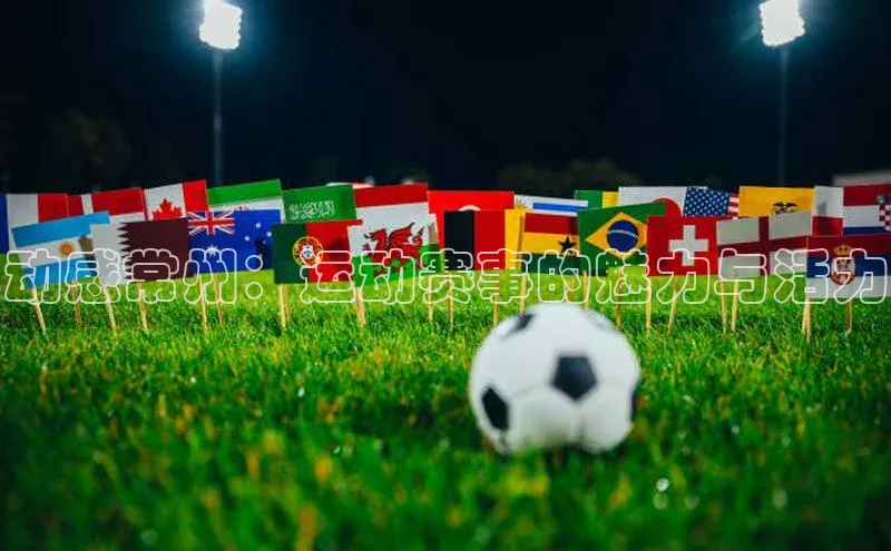 杏宇平台登录官网