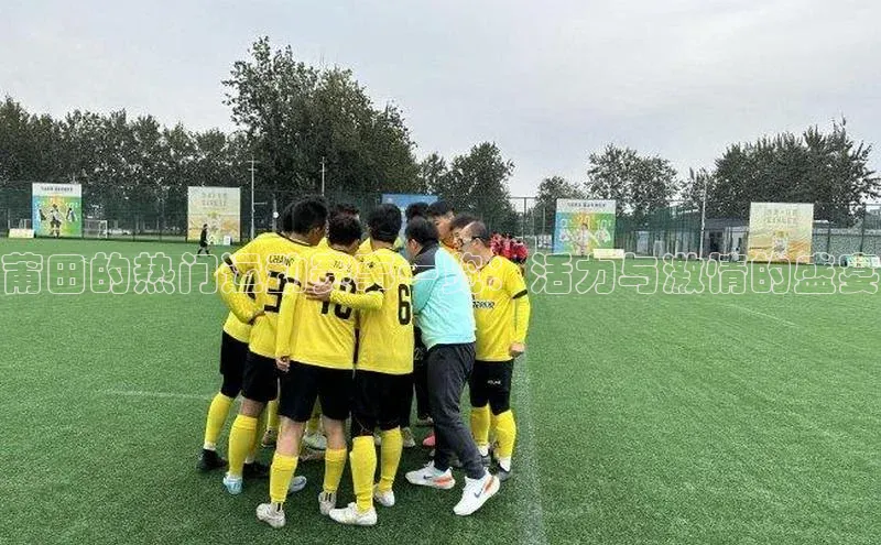杏宇平台登录入口2024最新版